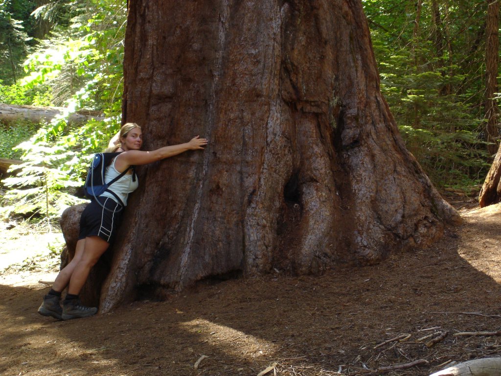 tree hugger.jpg